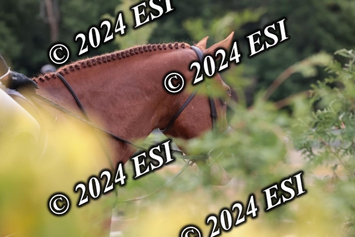 007SC1_7553