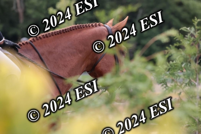007SC1_7554