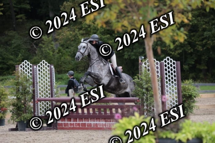 007SC1_7796