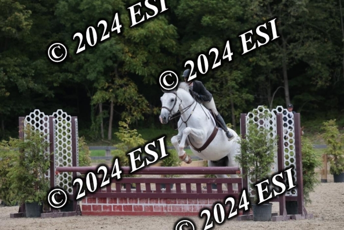 007SC1_7906