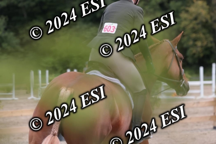 007SC1_8019