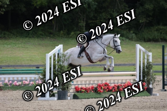 007SC1_8157