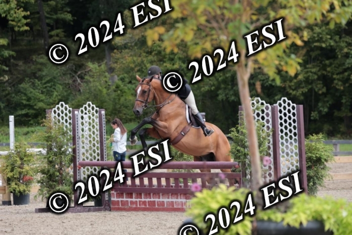 007SC1_8192