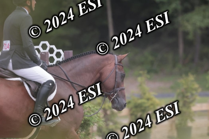 007SC1_8401
