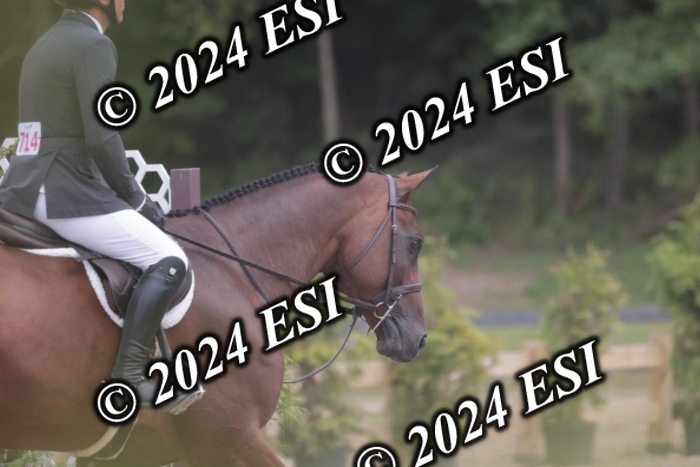 007SC1_8402