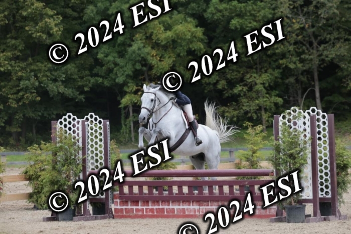 007SC1_8681