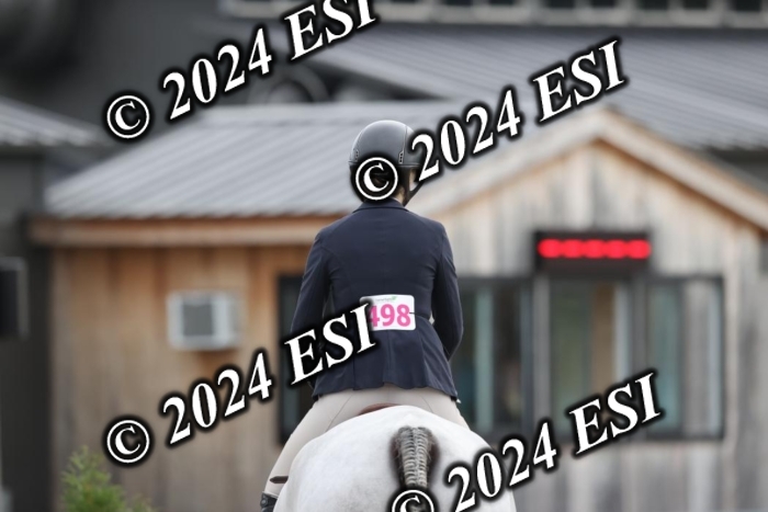 650GAB16950
