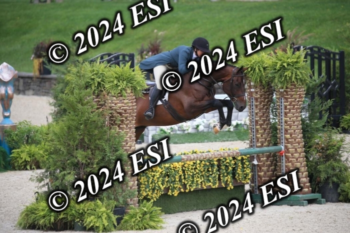 630IMGL2028