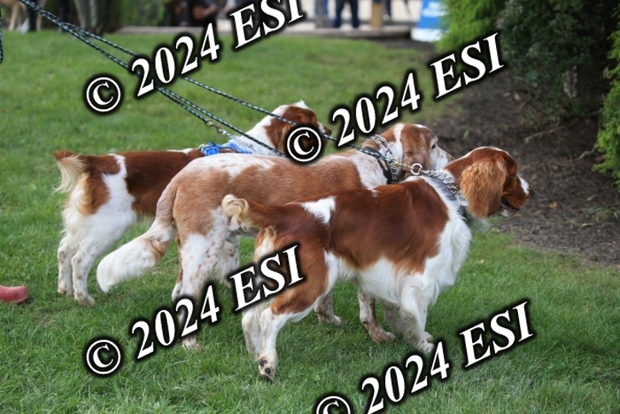 630IMGL2032
