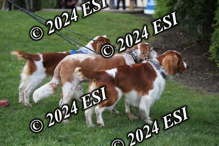 630IMGL2033