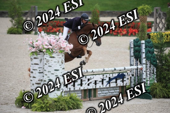 630IMGL2038