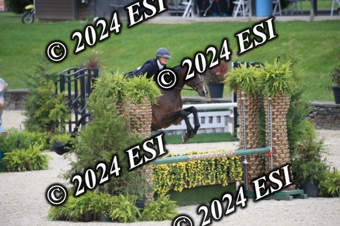 630IMGL2043