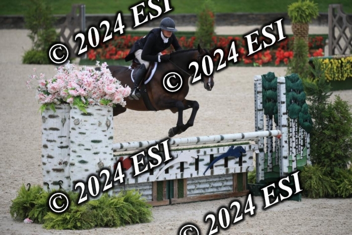 630IMGL2047