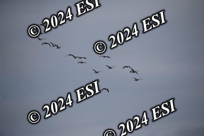 630IMGL2050