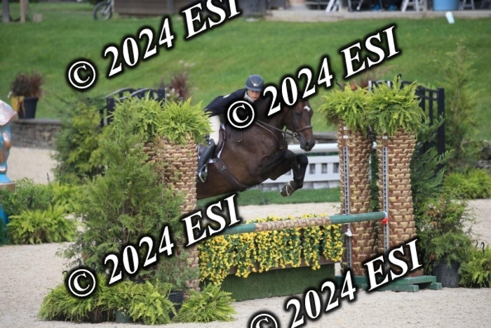 630IMGL2053