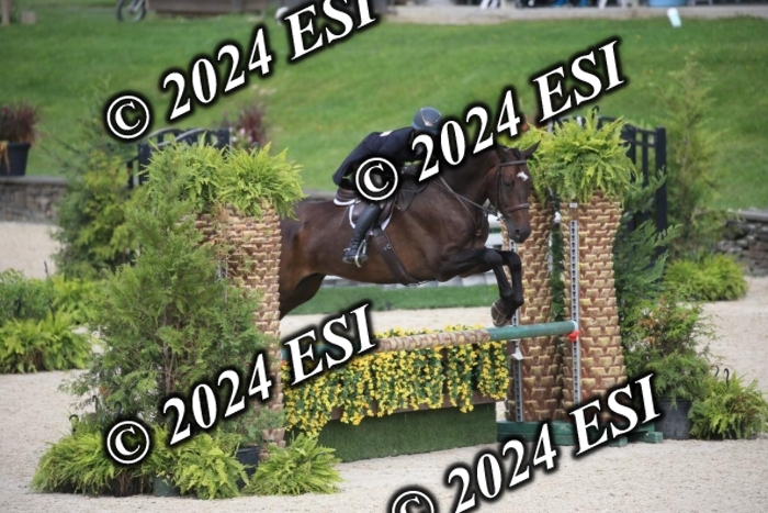630IMGL2054