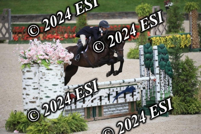 630IMGL2056
