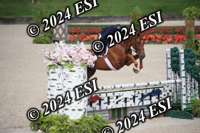 630IMGL2068