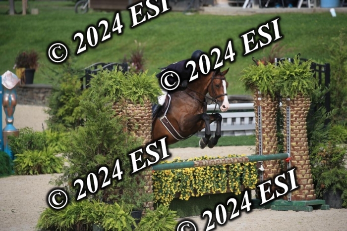 630IMGL2079