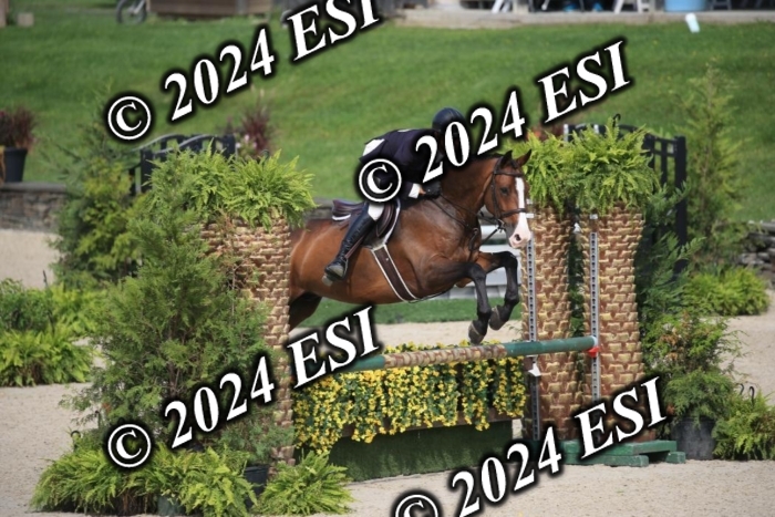 630IMGL2080