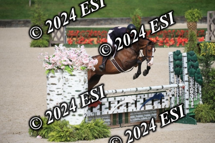 630IMGL2081