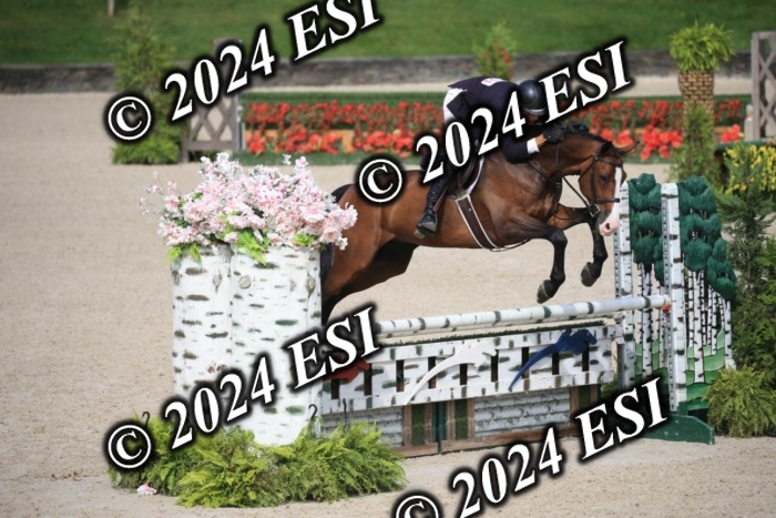 630IMGL2082