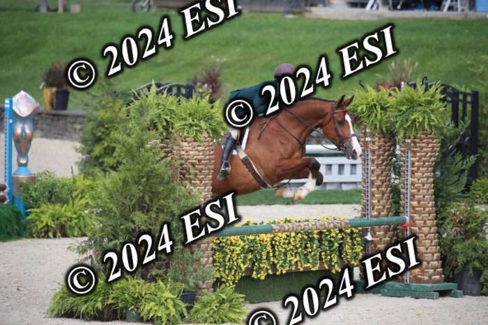 630IMGL2087