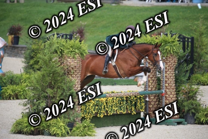 630IMGL2088