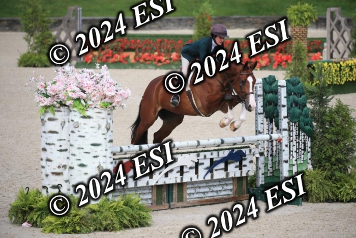 630IMGL2089