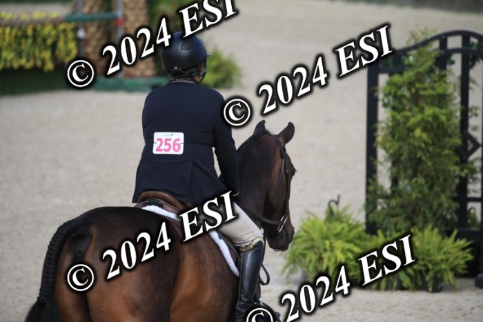 630IMGL2091