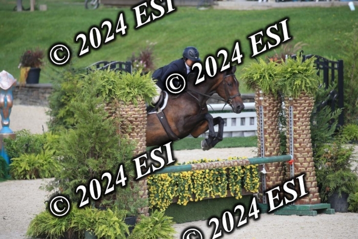 630IMGL2093