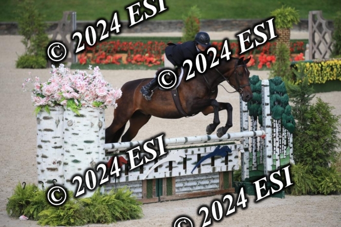 630IMGL2096