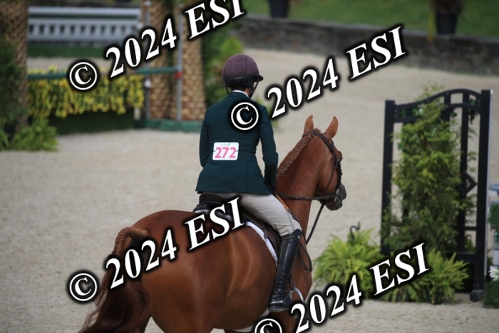630IMGL2121