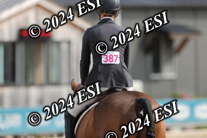 650GAB17173