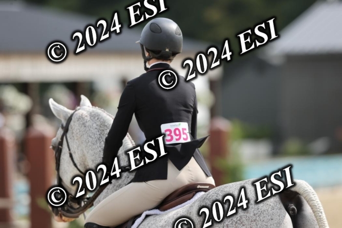 650GAB17185