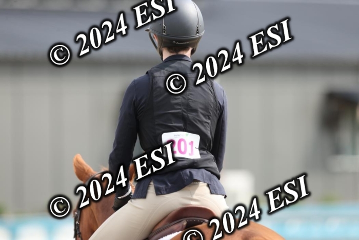 650GAB17200