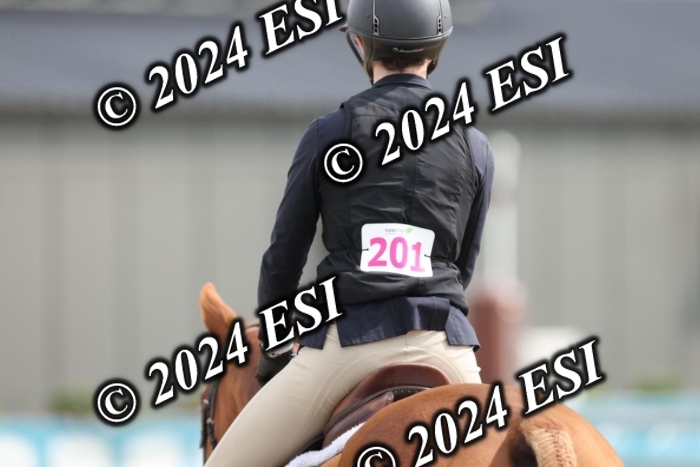650GAB17201