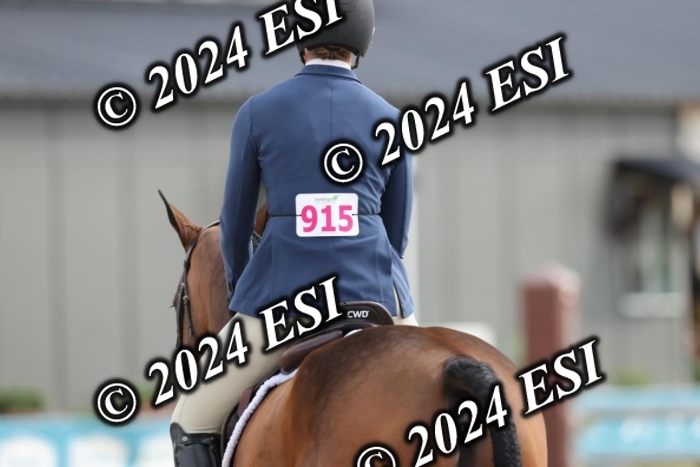 650GAB17211