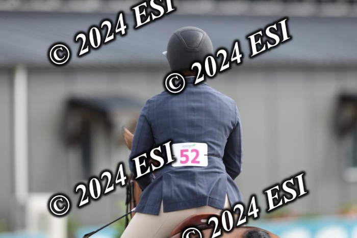 650GAB17219