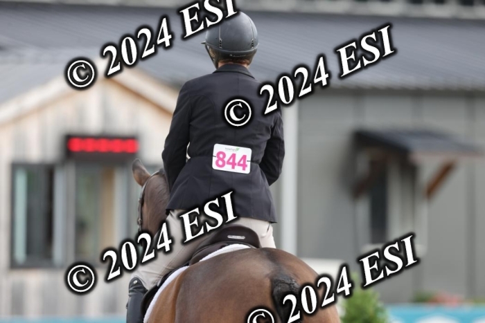 650GAB17227