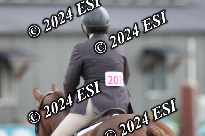 650GAB17236