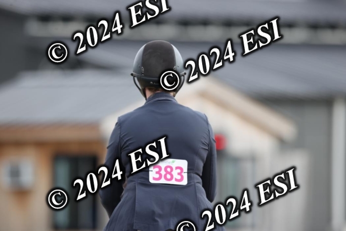 650GAB17259