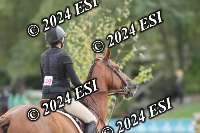 650GAB17271