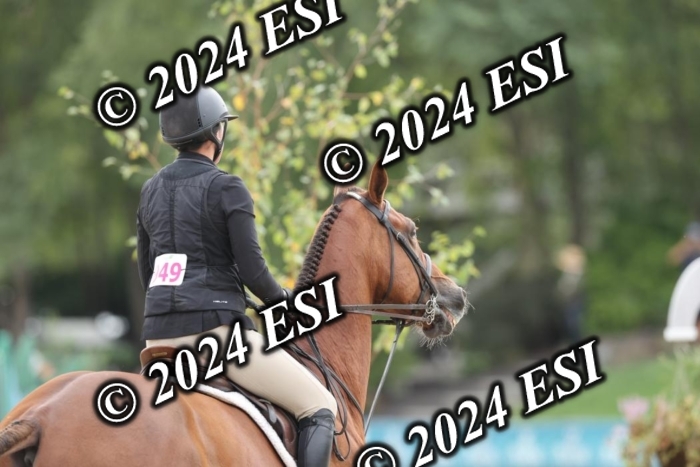 650GAB17272