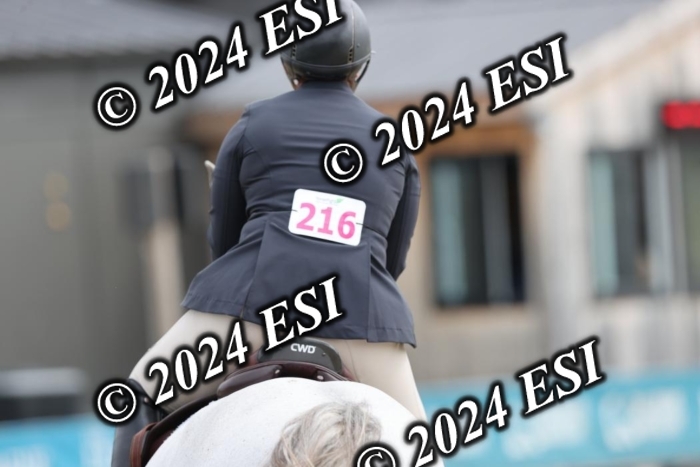 650GAB17277