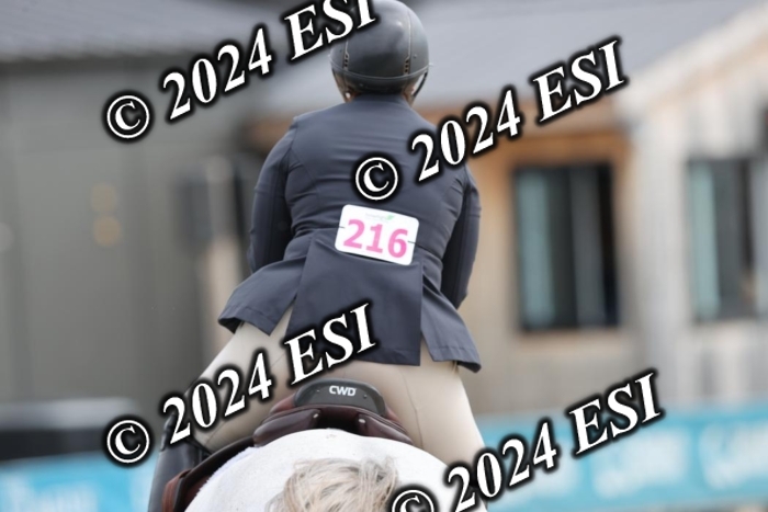 650GAB17278