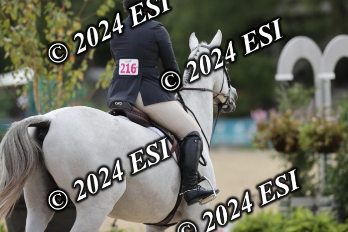 650GAB17282