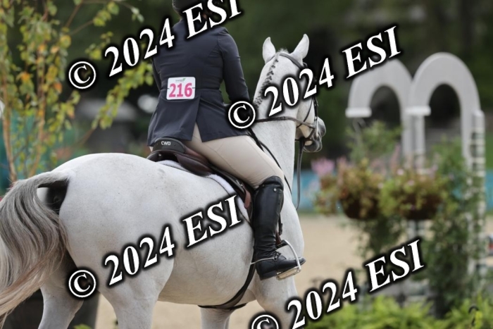 650GAB17283