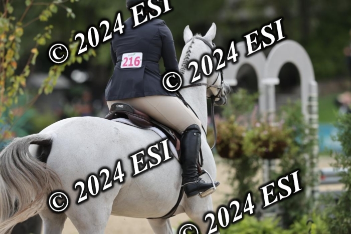 650GAB17284