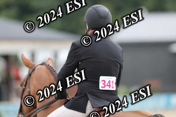 650GAB17287